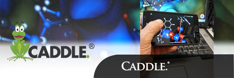 CADDLE.®